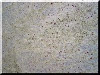 KASHMIR WHITE
